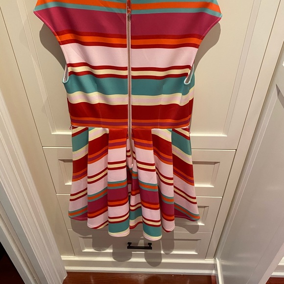 Ted Baker Skater Dress BNWT and Belt - Picture 2 of 4